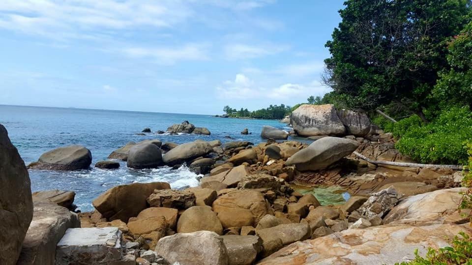VI Miles Lodge Machabee Экстерьер фото
